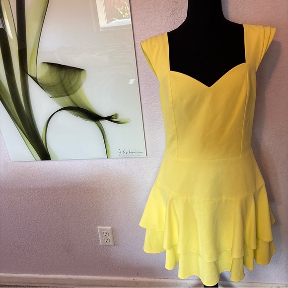 Alice + Olivia Dresses & Skirts - New Alice and Olivia dress size 10